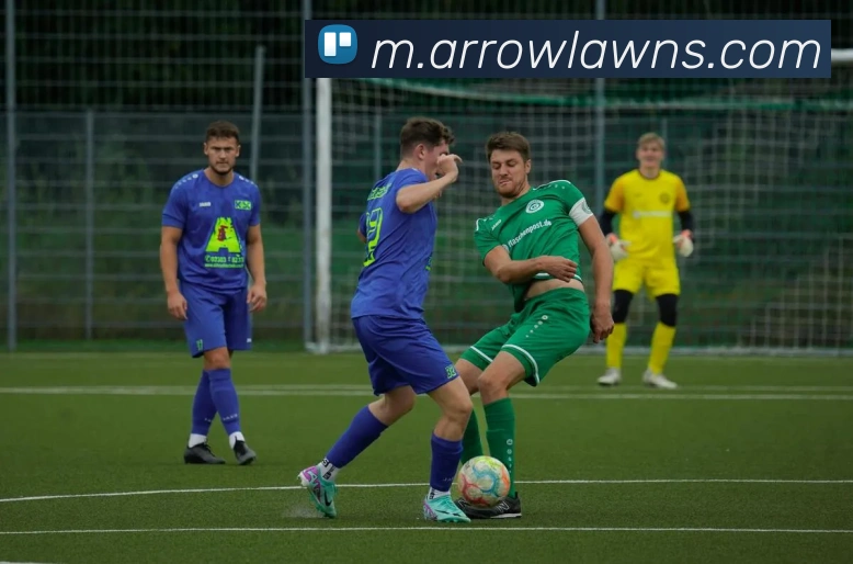 澳门威尼斯在线APP 封面图